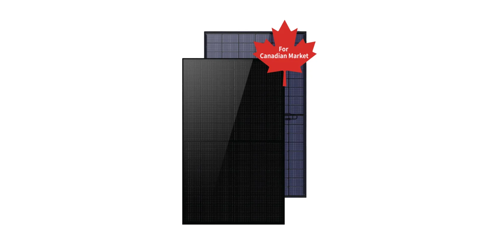 LONGi Hi-MO 7 N-type HPDC Bifacial Module